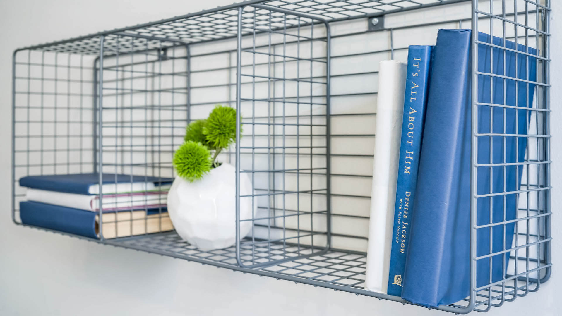 Bookshelf with tiny plant